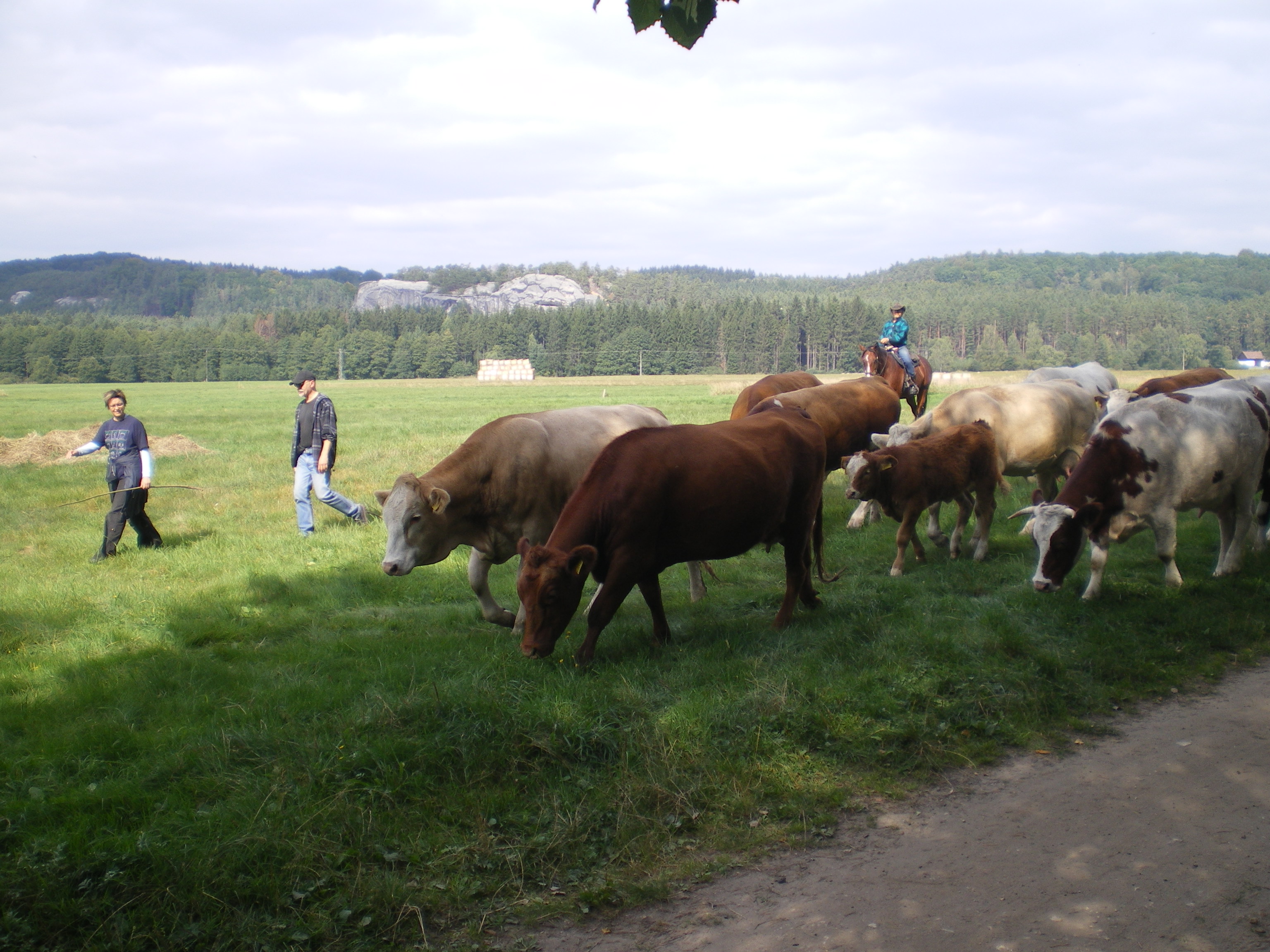 080914 12 V pozadí Sokolka.JPG