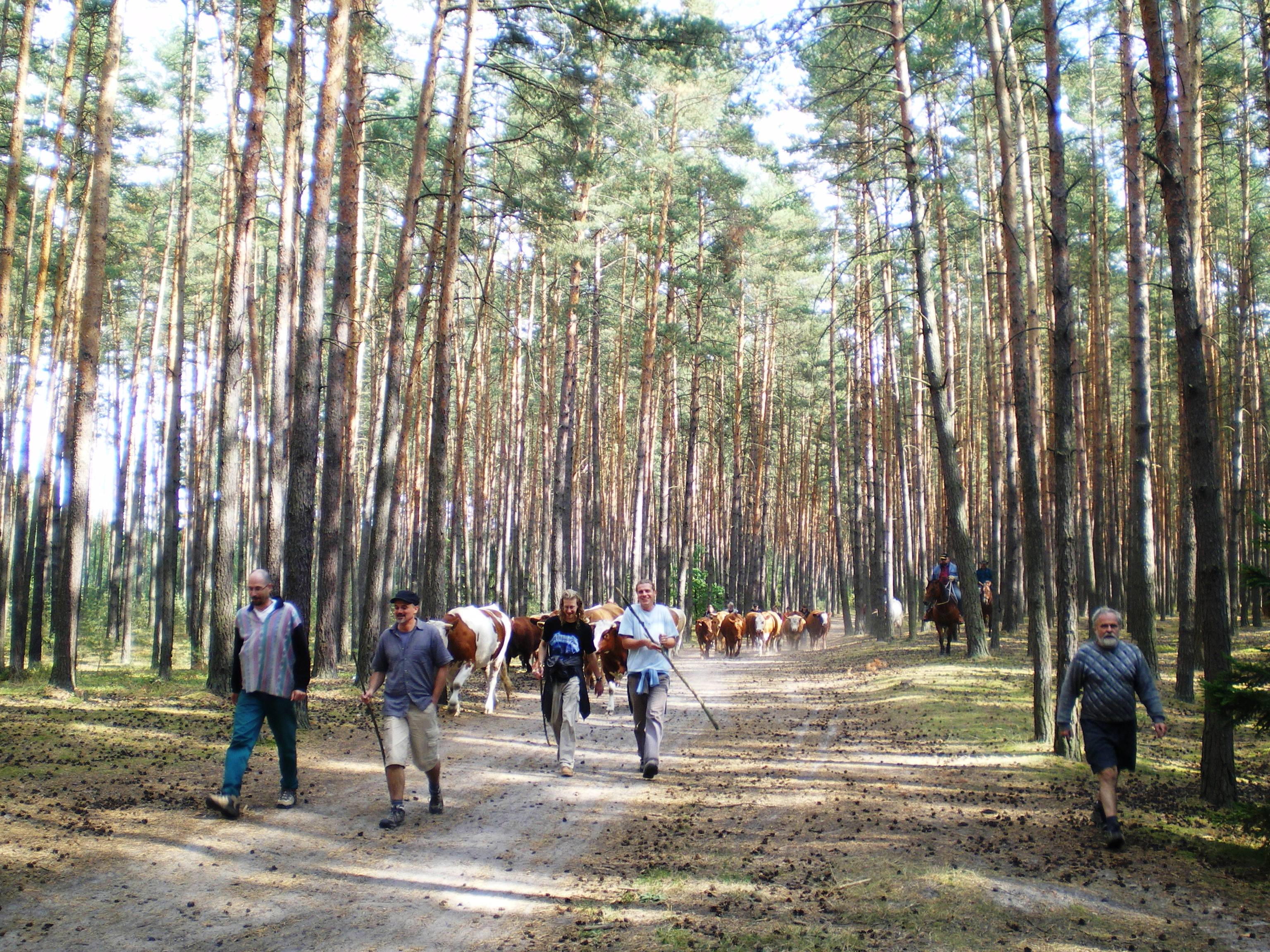 080914 16 Koňské síly zajišťují boky expedice.JPG