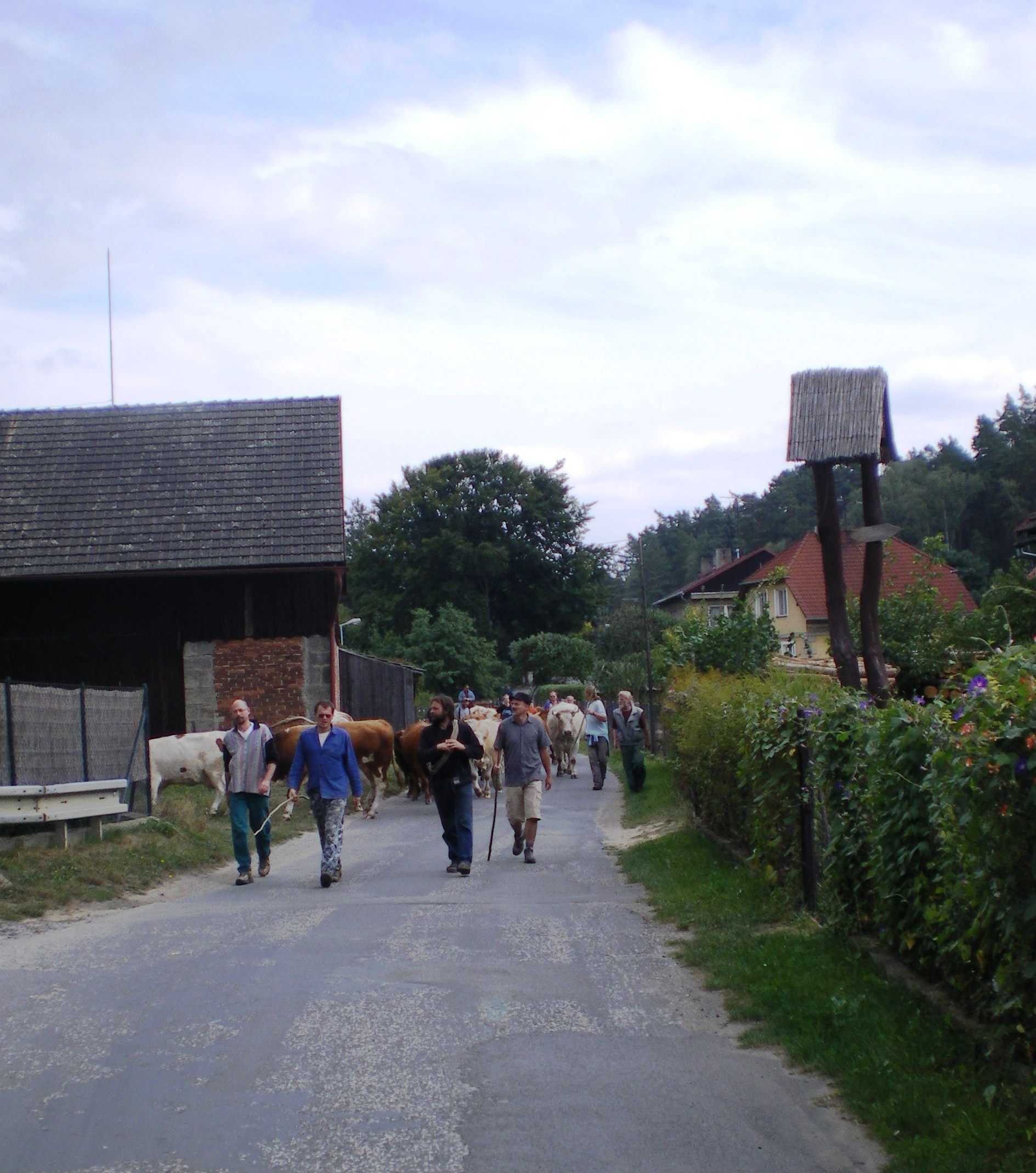 080914 17 Průchod Novou Vsí byl hladký.JPG